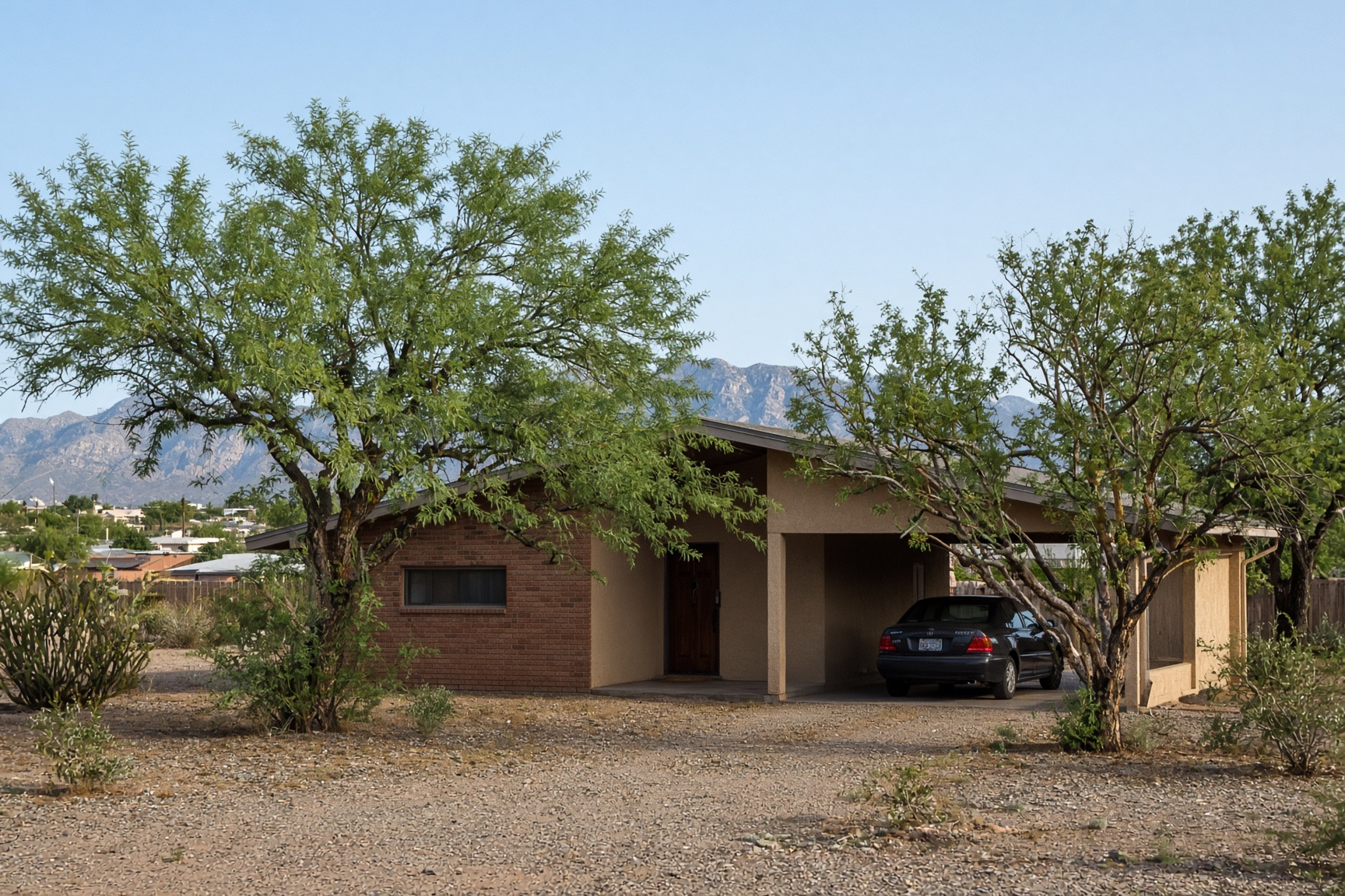 Tucson mid-century ranch house with mesquite trees and gravel yard